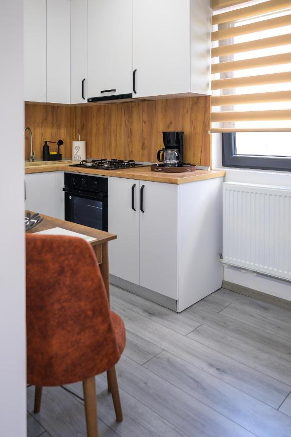 Nina House Apartment Targu Jiu Bagian luar foto